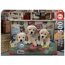 EDUCA-500 DES CHIOTS DANS...