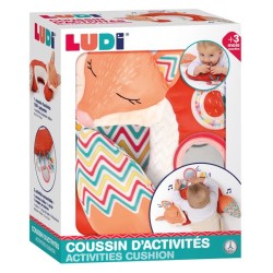 LUDI-VOS ACTIVITEITENKUSSEN