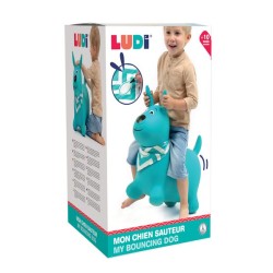 LUDI-JUMPER HOND BLAUW