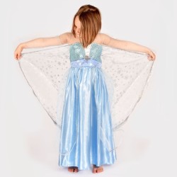 DEN GODA FEN-DRESS FROZEN...