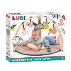 *LUDI-TAPIS ARCHE BOIS