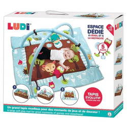 LUDI-SPEELTAPIJT UIL BLAUW