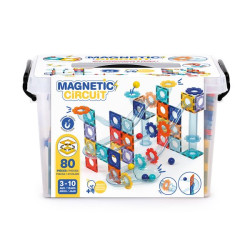 LUDI-MAGNETISCHE CIRCUIT