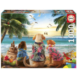 EDUCA-1000 CHIENS A LA PLAGE