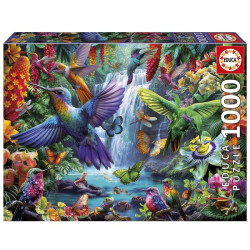 EDUCA-1000 COLIBRIS TROPICAUX