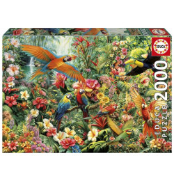 EDUCA-2000 AMAZONEVOGELS
