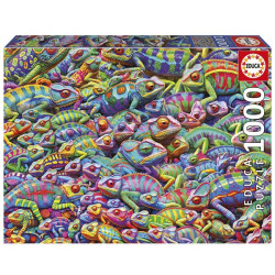 EDUCA-1000 CHAOS DE...