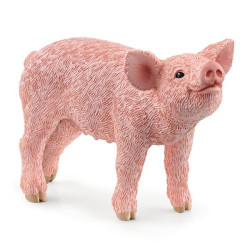 SCHLEICH-PORCELET