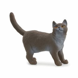 SCHLEICH-BRITSE KORTHAAR KAT