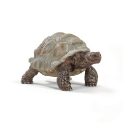 SCHLEICH-REUZENSCHILDPAD