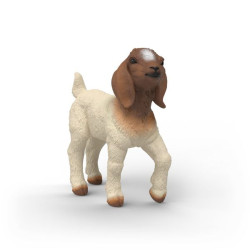 SCHLEICH-CHEVREAU BOER