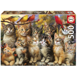 EDUCA-500 CHATONS ET OISEAUX